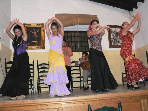 72- Danseuses de Flamenco 